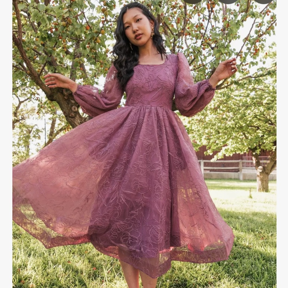 BNWT JessaKae Serenity Dress in Mauve